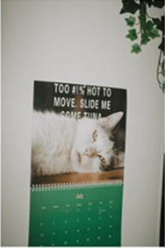 cat-calendar
